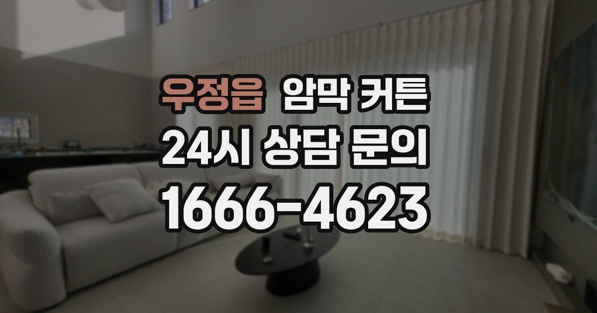우정읍 암막 커튼