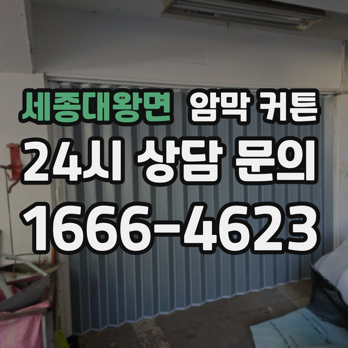 세종대왕면 암막 커튼