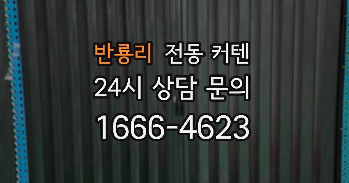 반룡리 전동 커텐