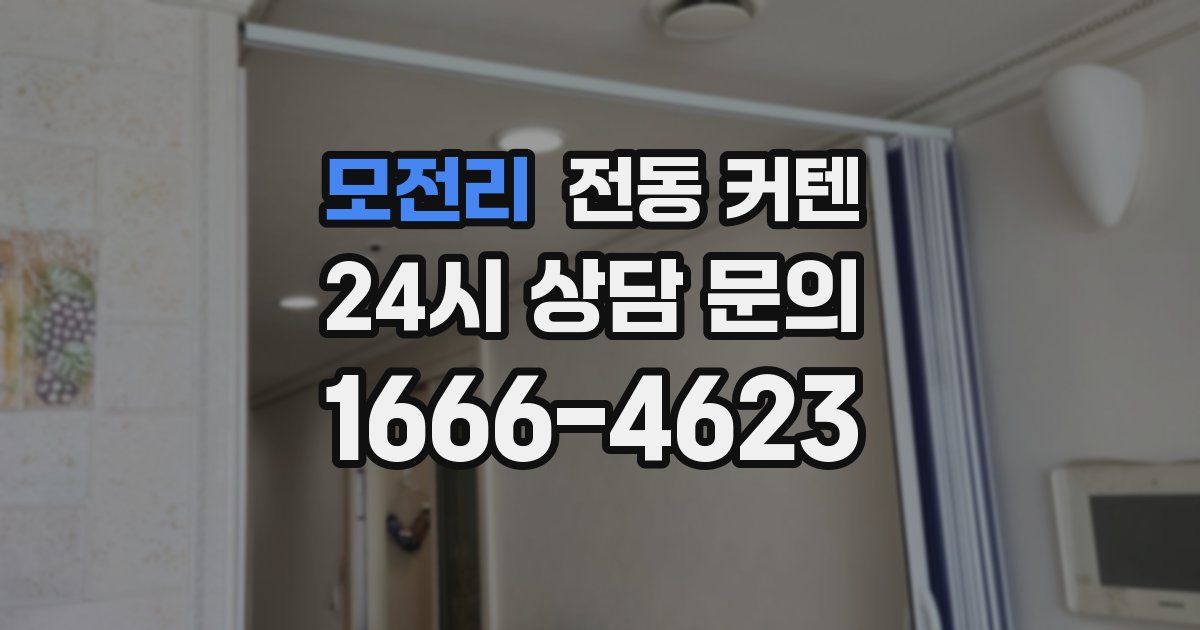 모전리 전동 커텐