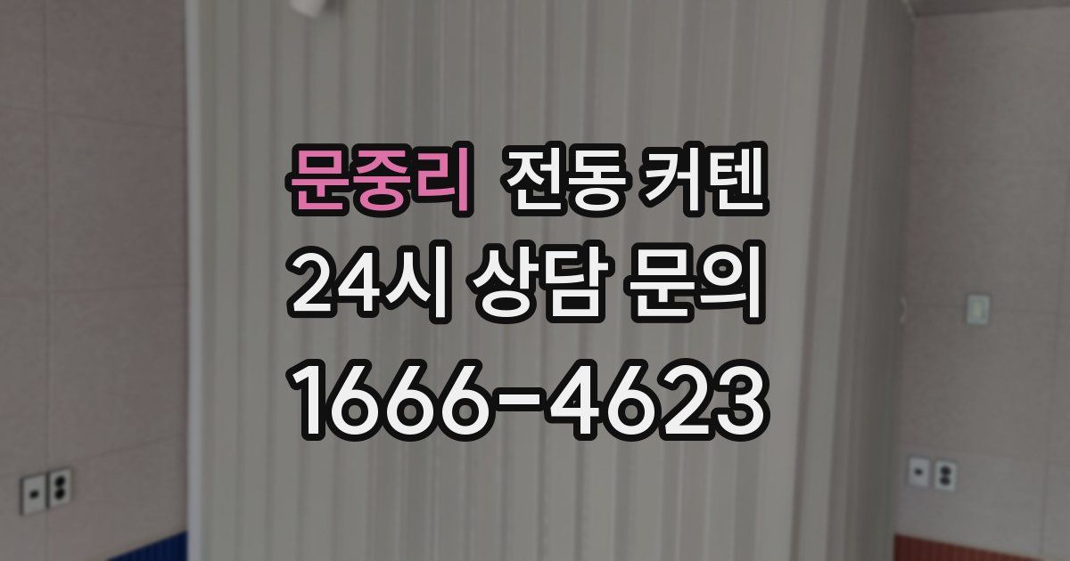 문중리 전동 커텐