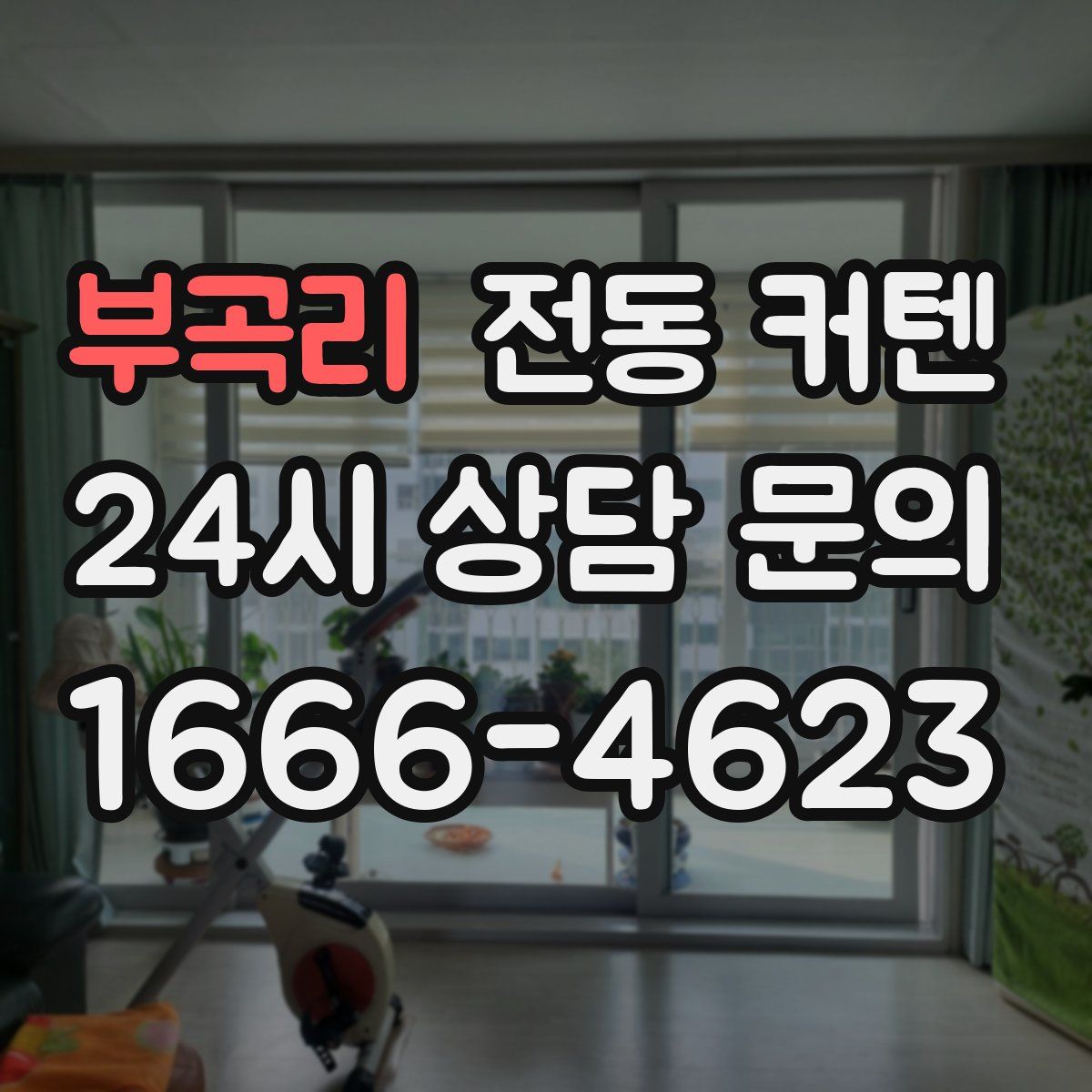 부곡리 전동 커텐