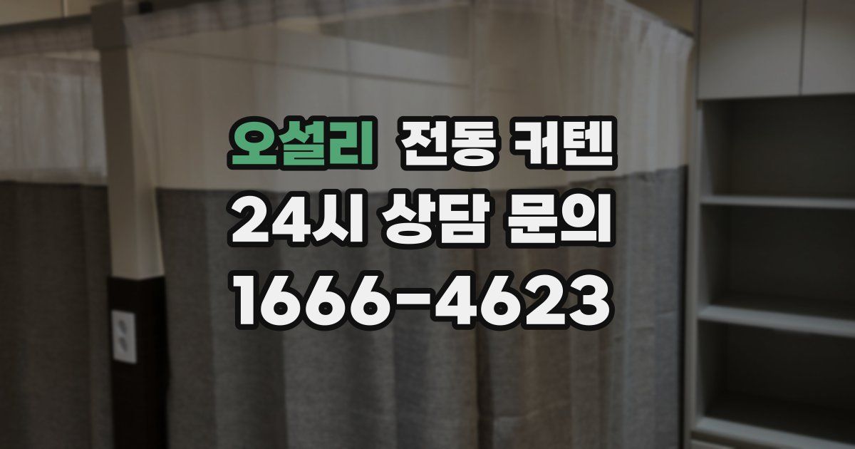 오설리 전동 커텐