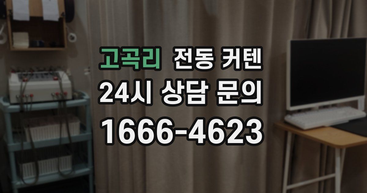 고곡리 전동 커텐