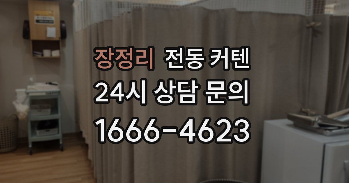 장정리 전동 커텐