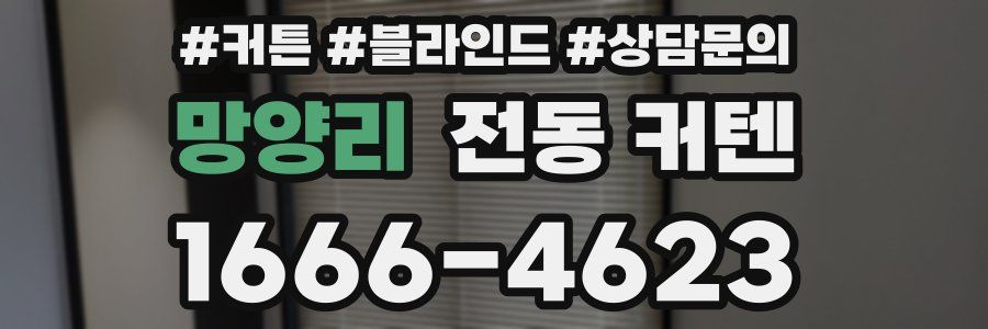 망양리 전동 커텐