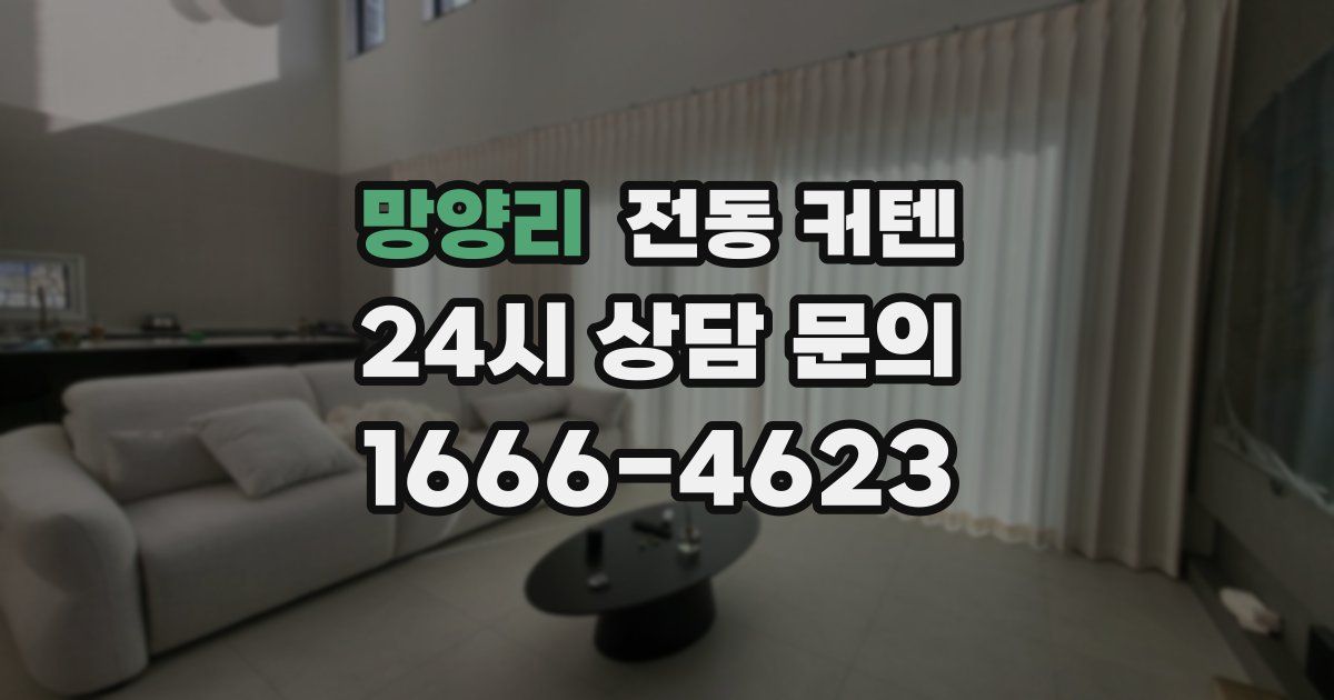 망양리 전동 커텐