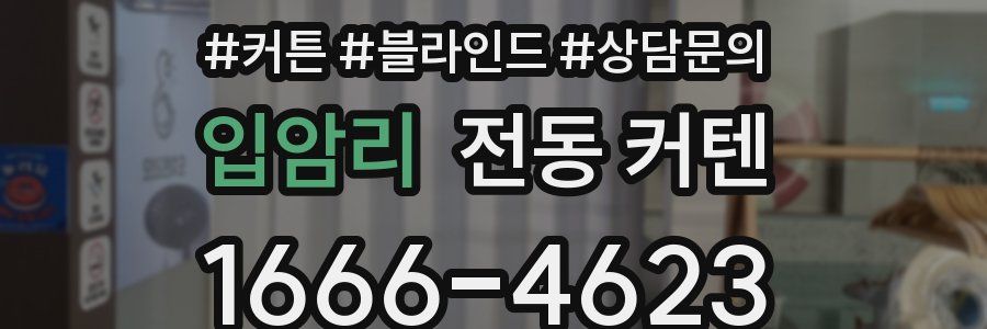 입암리 전동 커텐