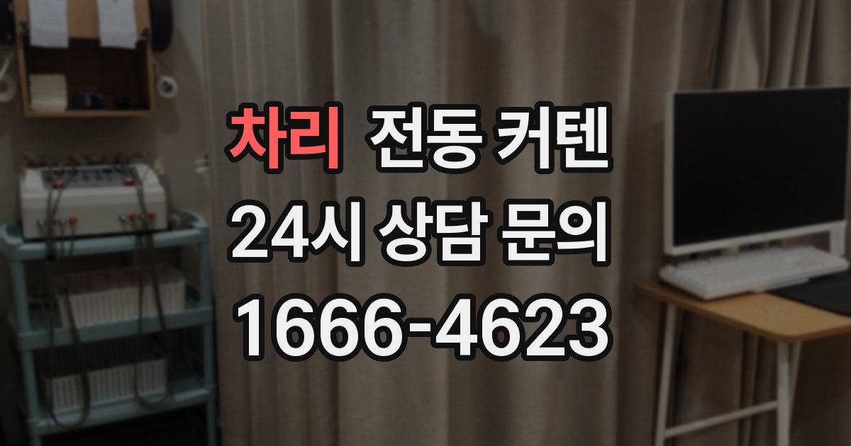차리 전동 커텐
