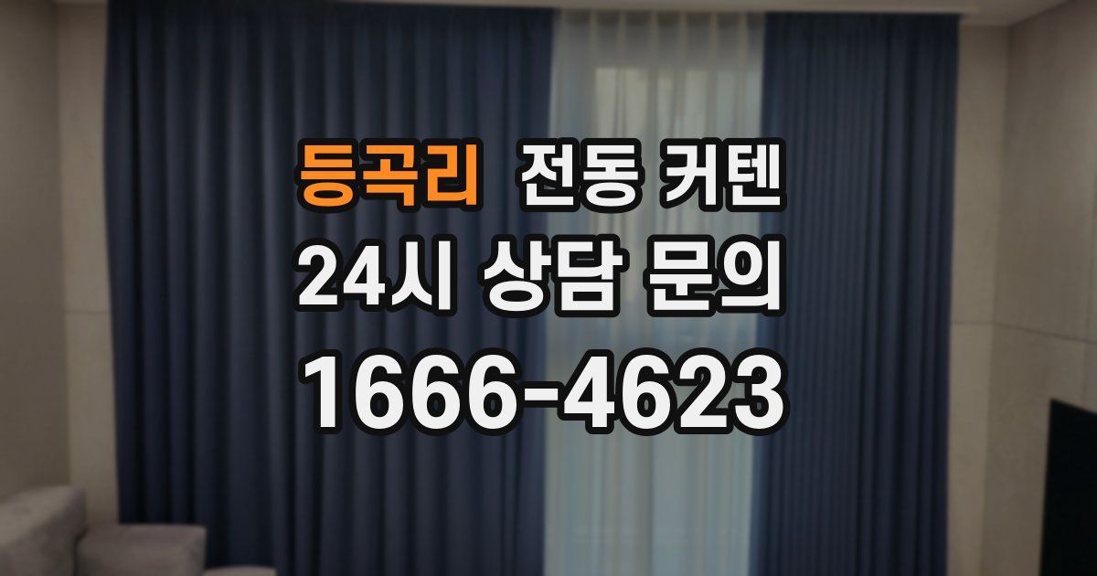 등곡리 전동 커텐