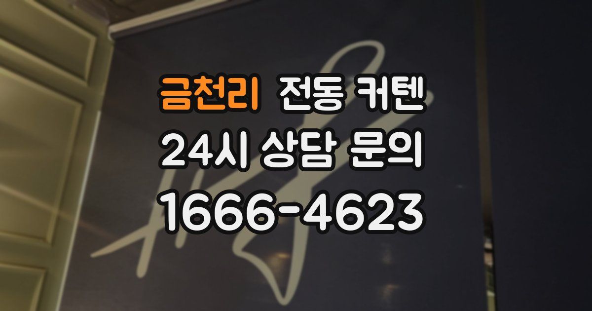 금천리 전동 커텐