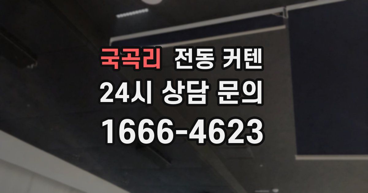 국곡리 전동 커텐