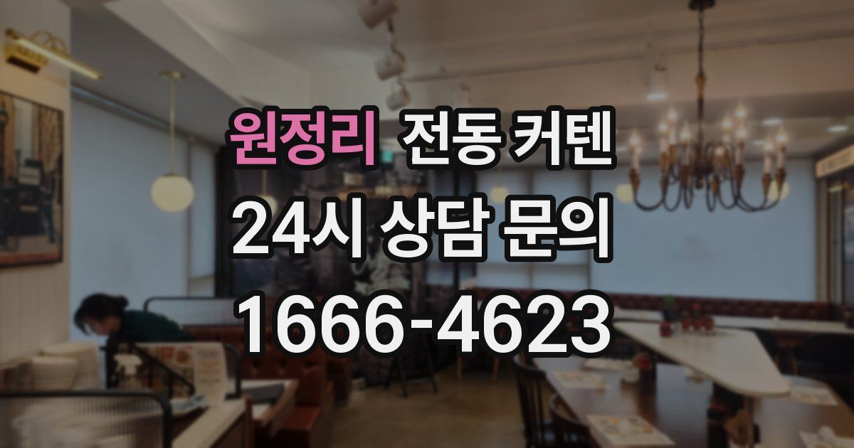 원정리 전동 커텐