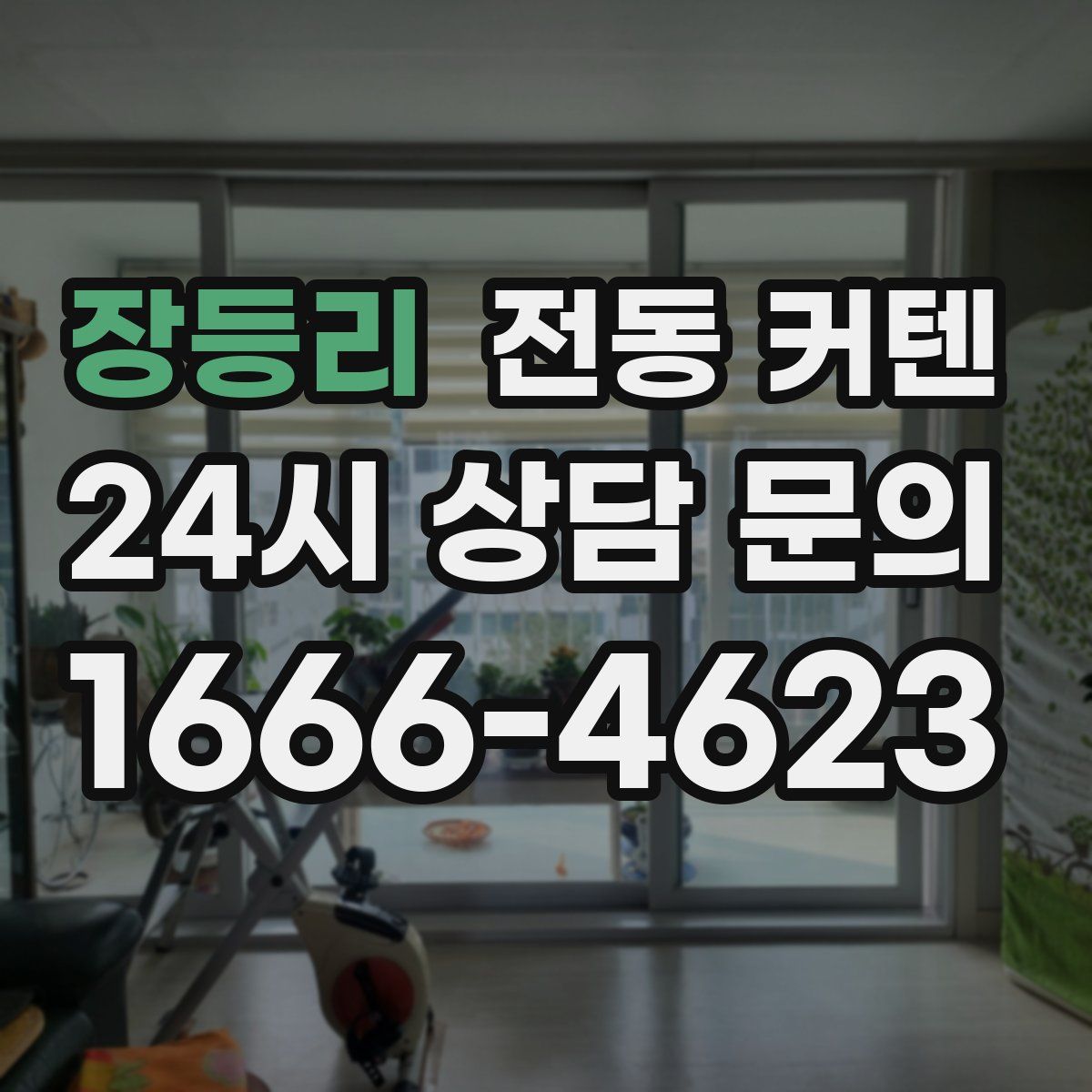 장등리 전동 커텐