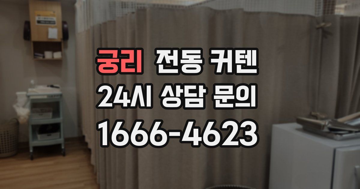 궁리 전동 커텐