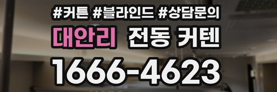 대안리 전동 커텐