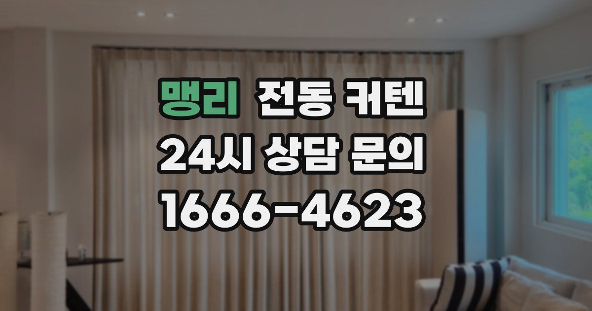 맹리 전동 커텐