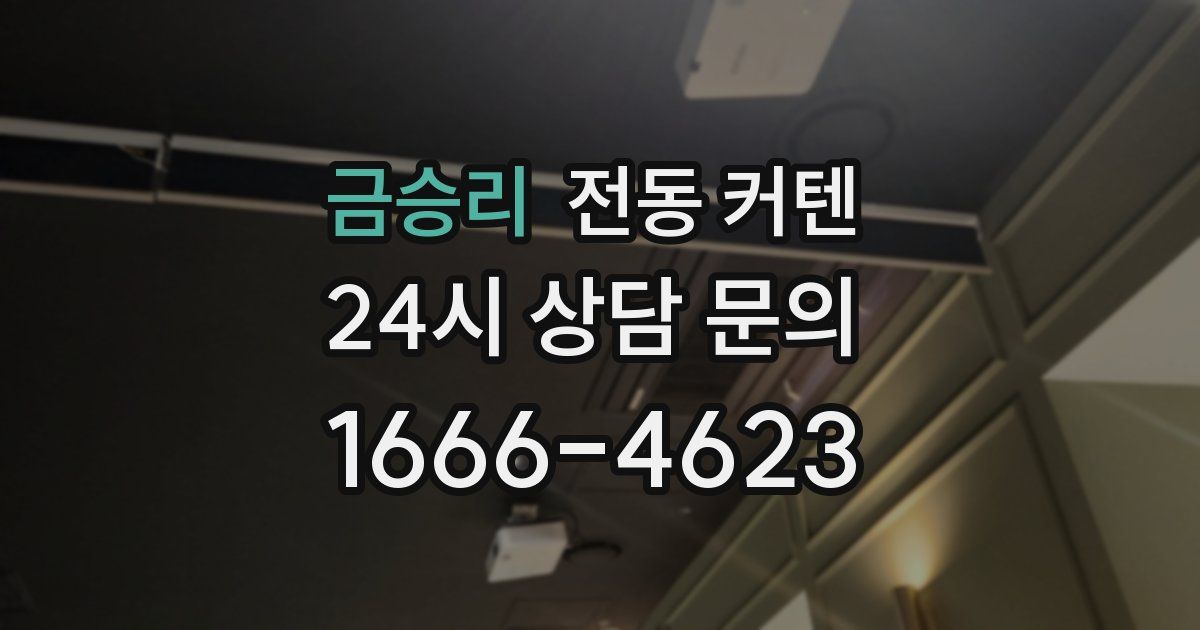 금승리 전동 커텐