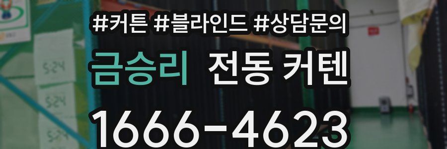 금승리 전동 커텐