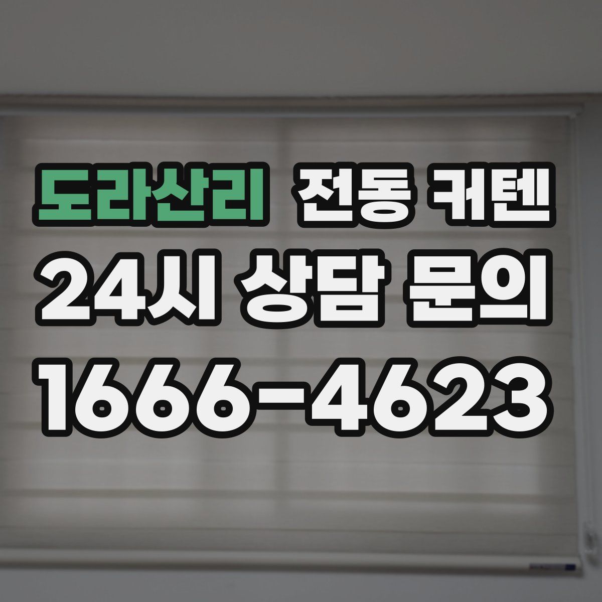 도라산리 전동 커텐