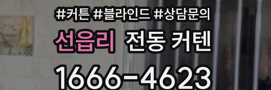 선읍리 전동 커텐