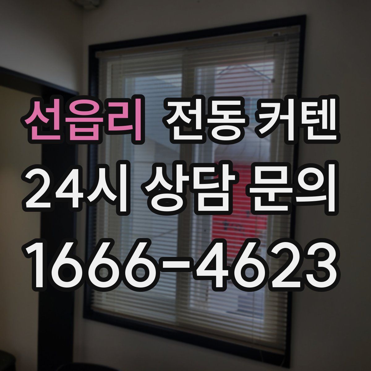 선읍리 전동 커텐