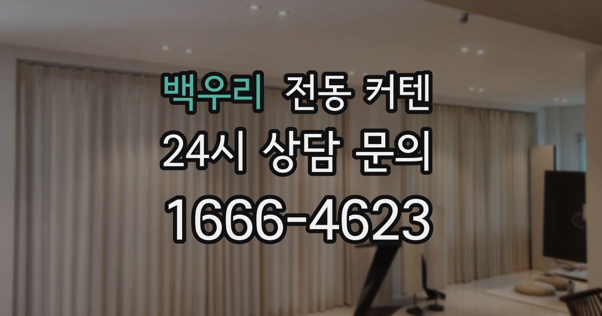 백우리 전동 커텐