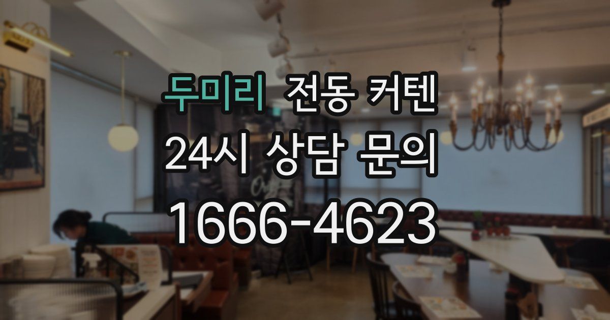두미리 전동 커텐