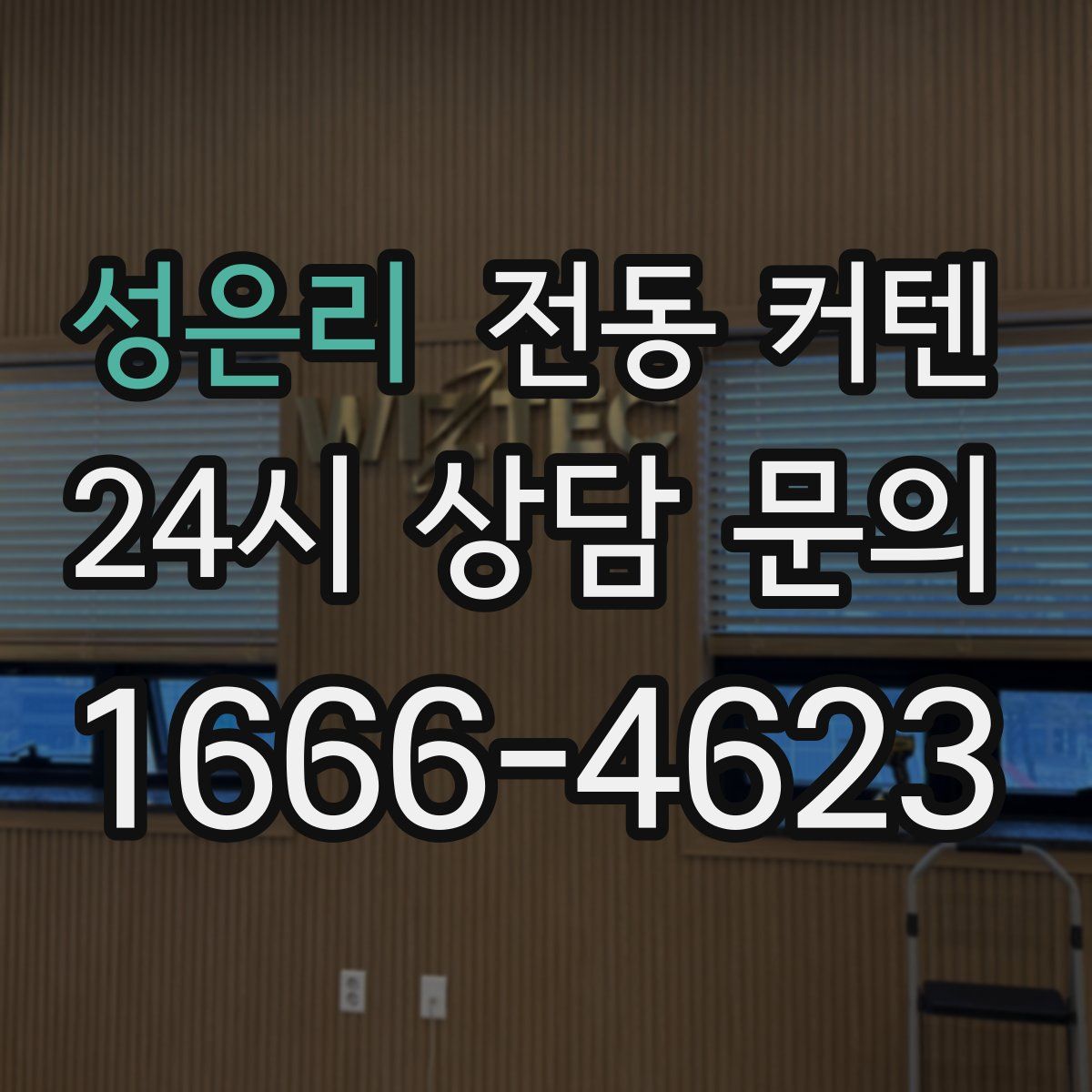 성은리 전동 커텐