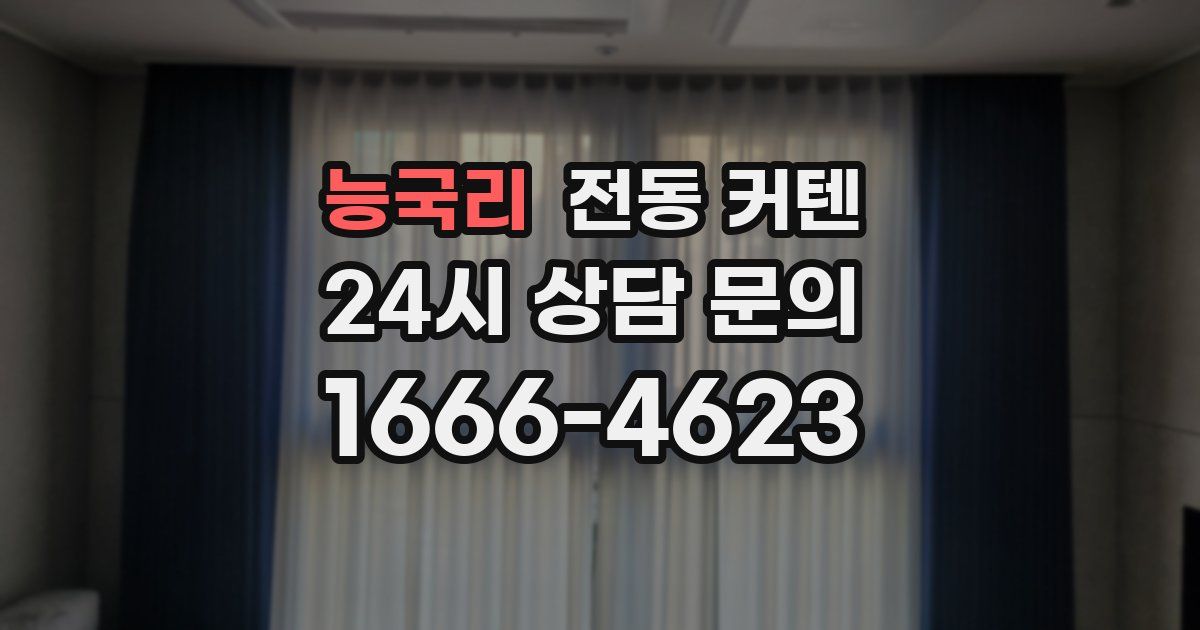 능국리 전동 커텐