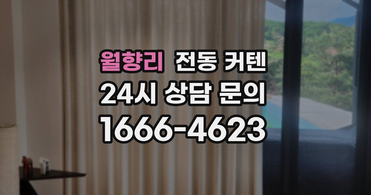 월향리 전동 커텐