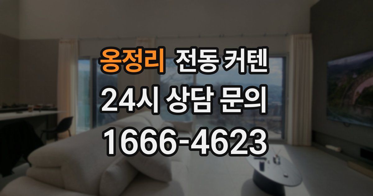 옹정리 전동 커텐