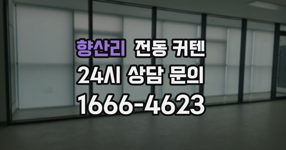 향산리 전동 커텐