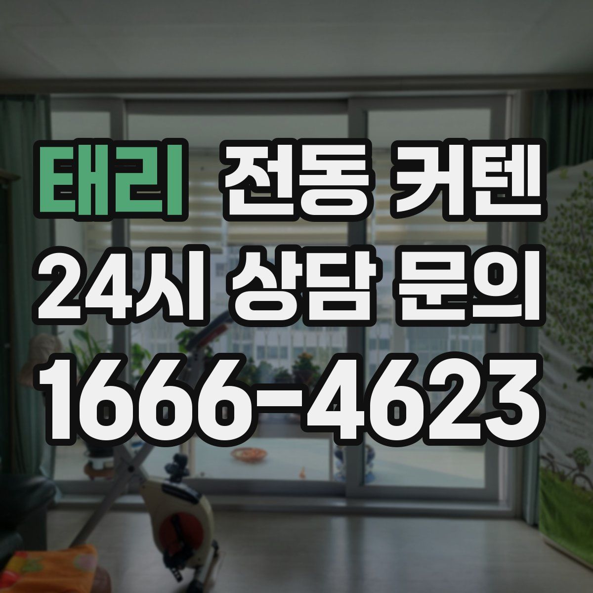 태리 전동 커텐