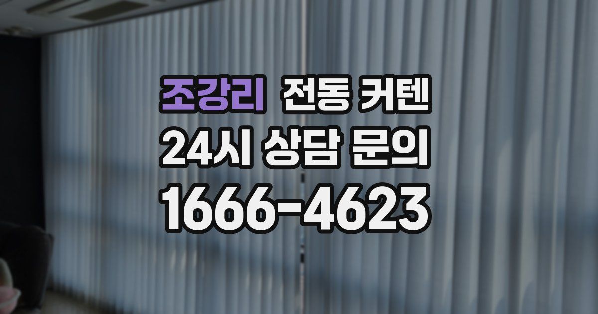 조강리 전동 커텐