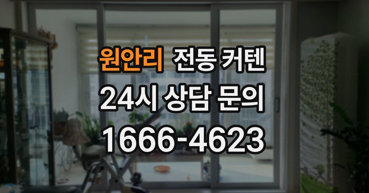 원안리 전동 커텐