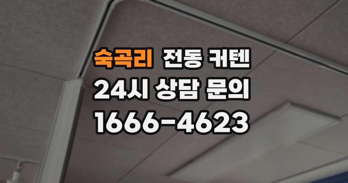 숙곡리 전동 커텐