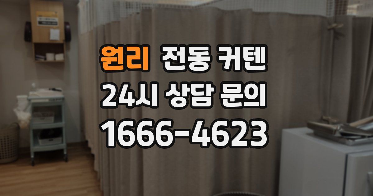 원리 전동 커텐