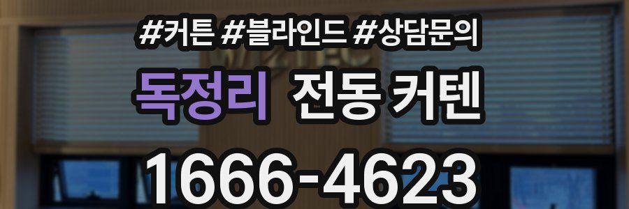 독정리 전동 커텐