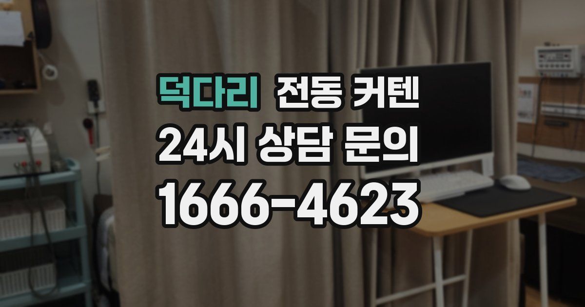 덕다리 전동 커텐