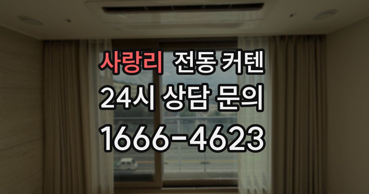 사랑리 전동 커텐