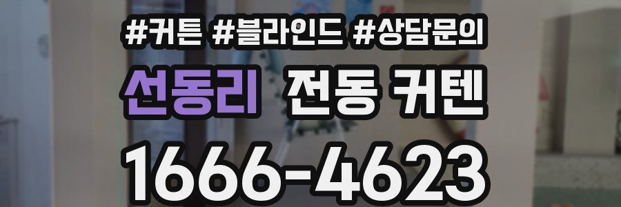 선동리 전동 커텐