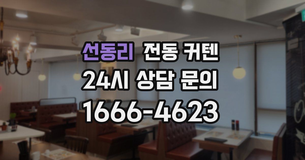 선동리 전동 커텐