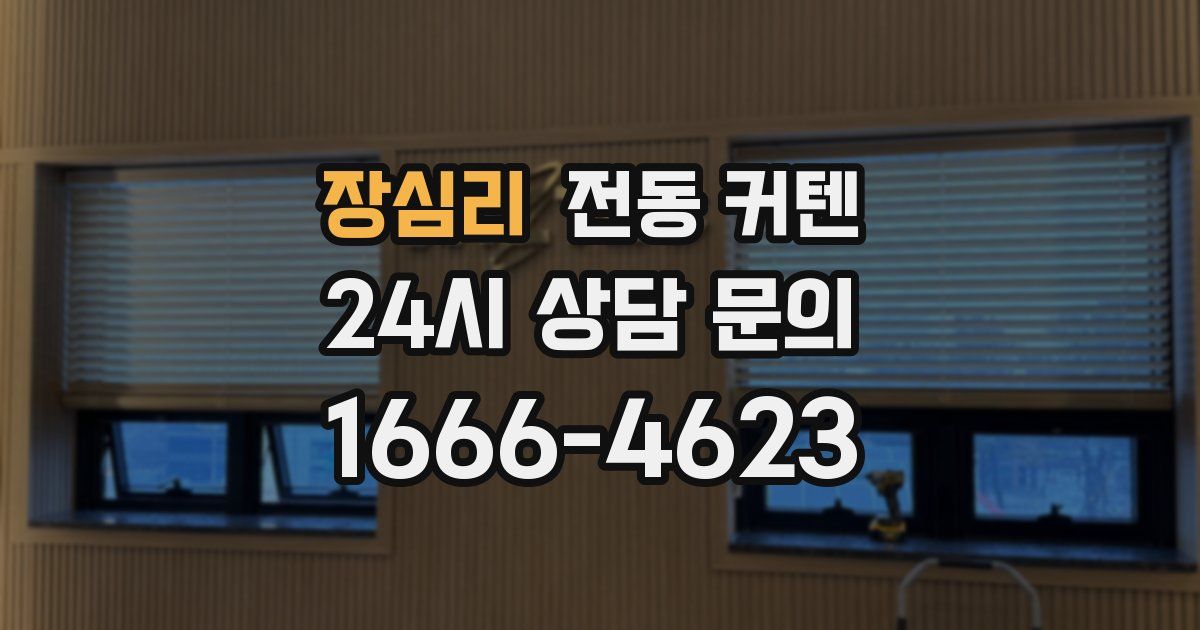 장심리 전동 커텐