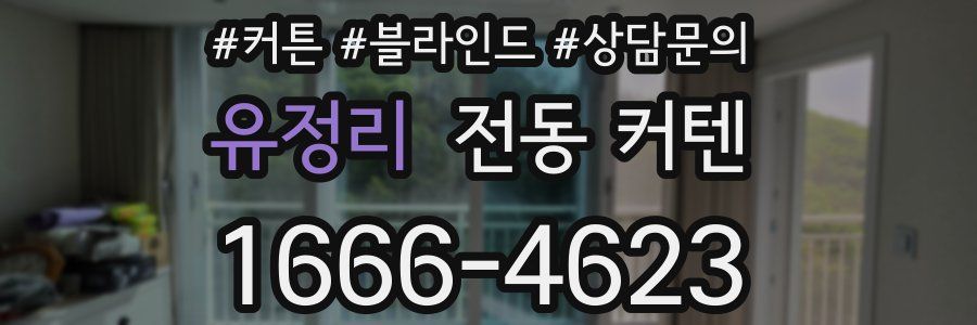 유정리 전동 커텐