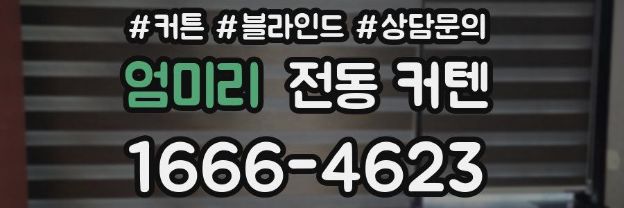 엄미리 전동 커텐