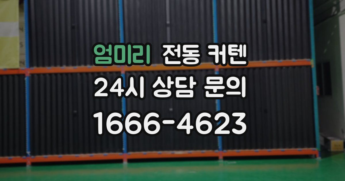 엄미리 전동 커텐