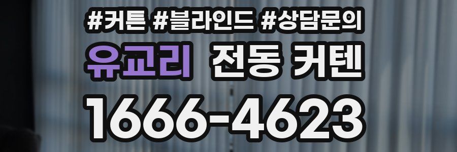 유교리 전동 커텐