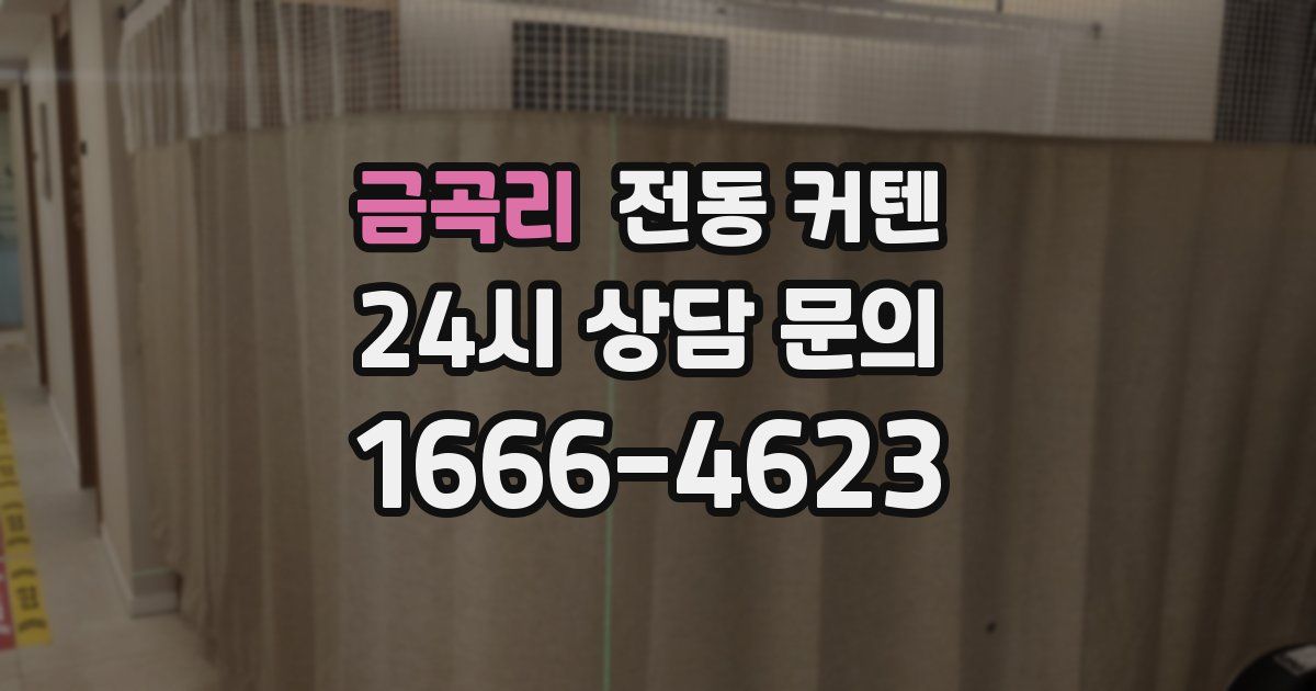 금곡리 전동 커텐