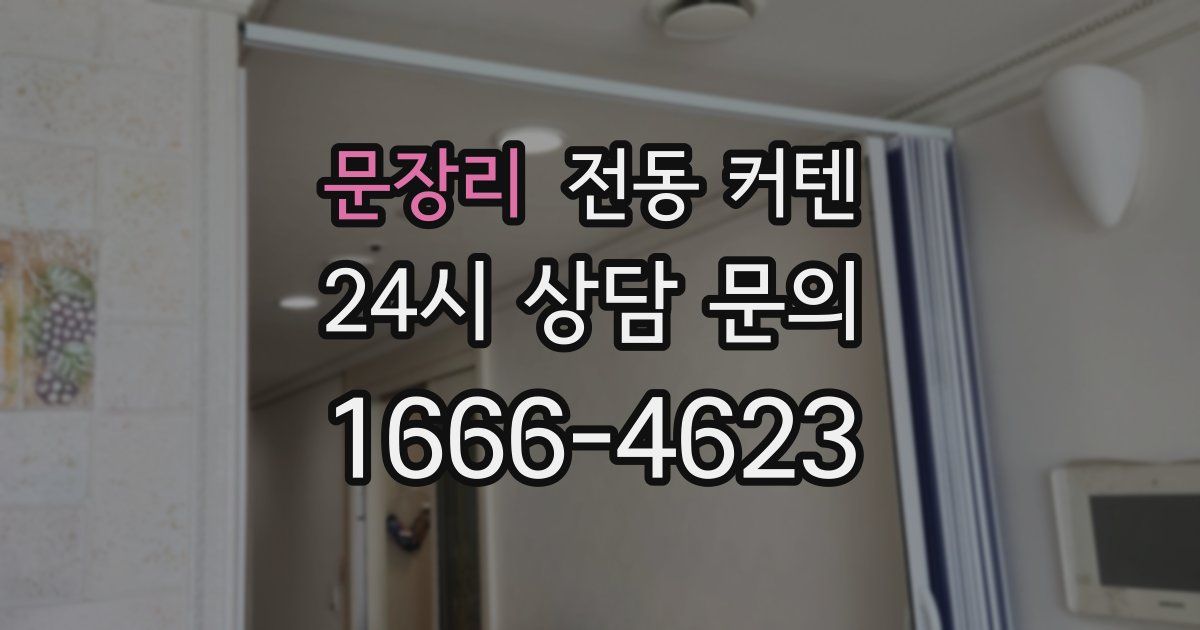 문장리 전동 커텐
